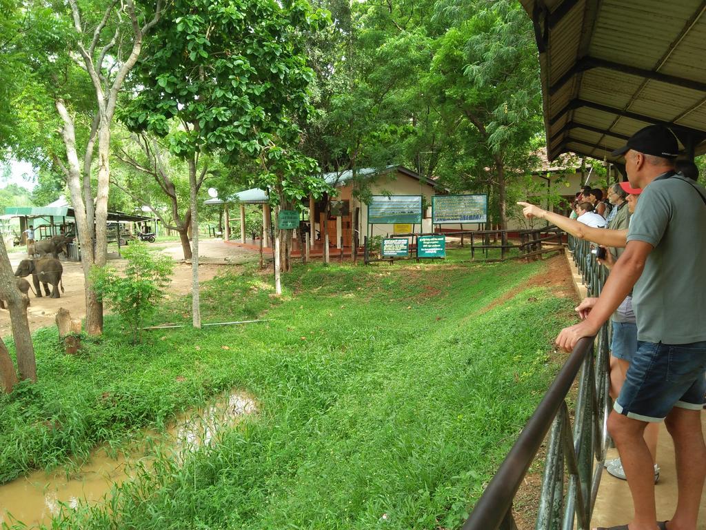 Brookline Safari Resort Udawalawe Exterior foto