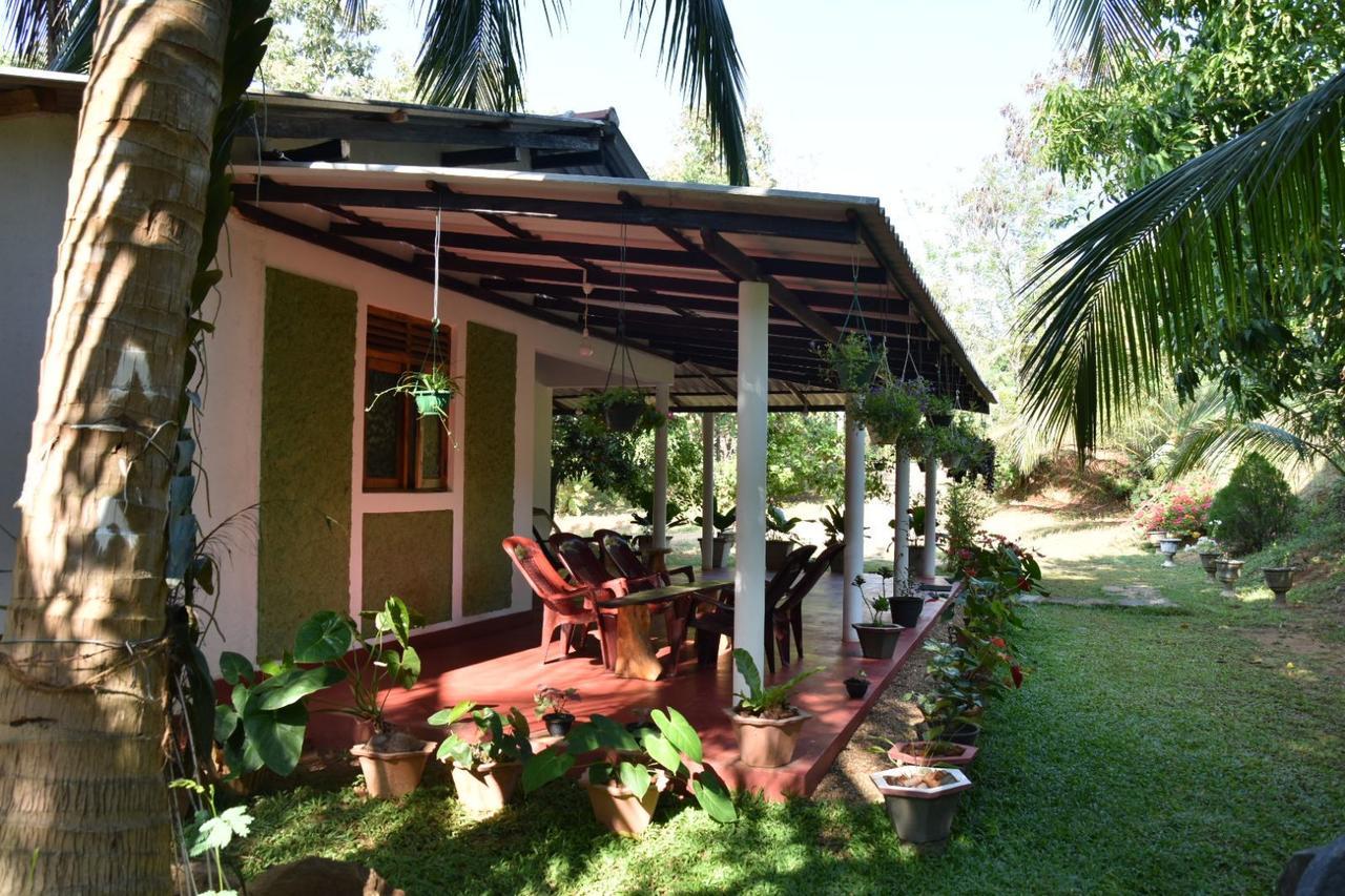 Brookline Safari Resort Udawalawe Exterior foto