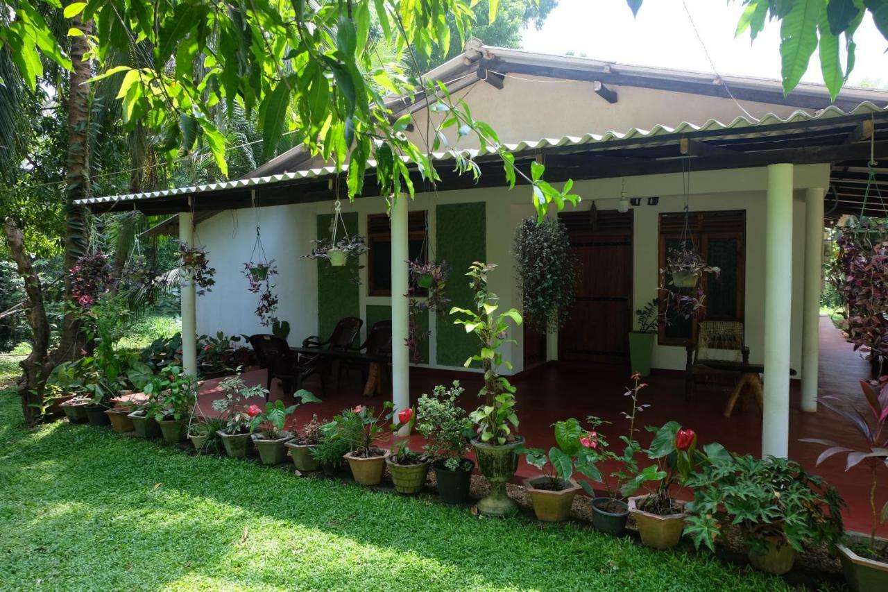 Brookline Safari Resort Udawalawe Exterior foto